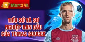 Tiểu sử và sự nghiệp ban đầu của tomas soucek